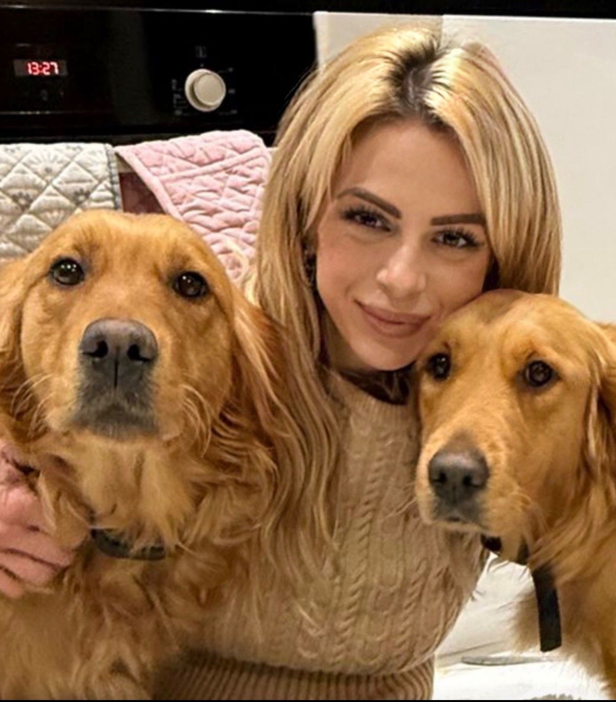 Golden retriever at SH Kennels